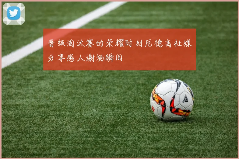 晋级淘汰赛的荣耀时刻厄德高社媒分享感人谢场瞬间